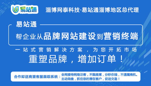 深耕数字化营销 淄博网泰科技的全网推广解决方案